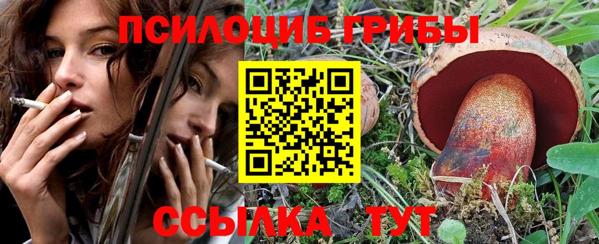 Батайск  Псилоцибиновые грибы Magic Shrooms  Вход с VPN 