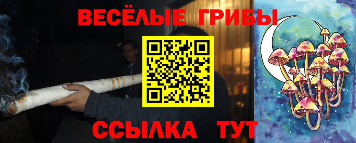 наркота  Батайск  Псилоцибиновые грибы прущие грибы 