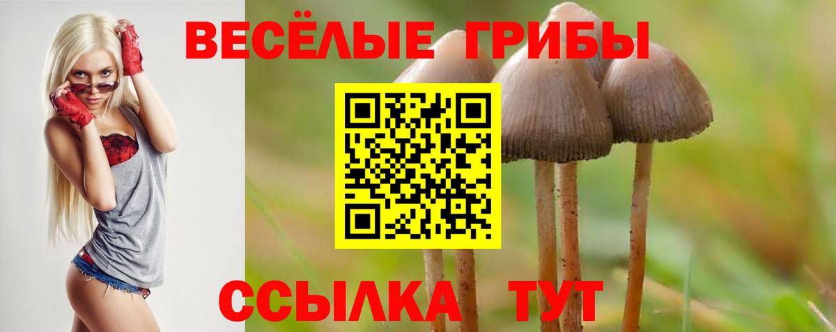 Галлюциногенные грибы Psilocybe Батайск